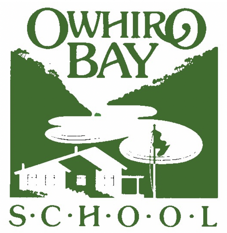 Owhiro Bay School 2020