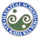 Hataitai School 2021